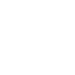 Vijs Logo